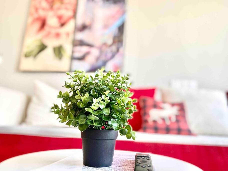 Tropicana 218 Macalister #Wondercolor #Infinity Pool #Georgetown #5Pax #2Br 2Bath #1King 1Queen 1Single #Quality Well Maintained #Private Host Exterior foto